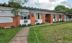 Veículos escolares precisam atualizar documentação a partir de segunda-feira