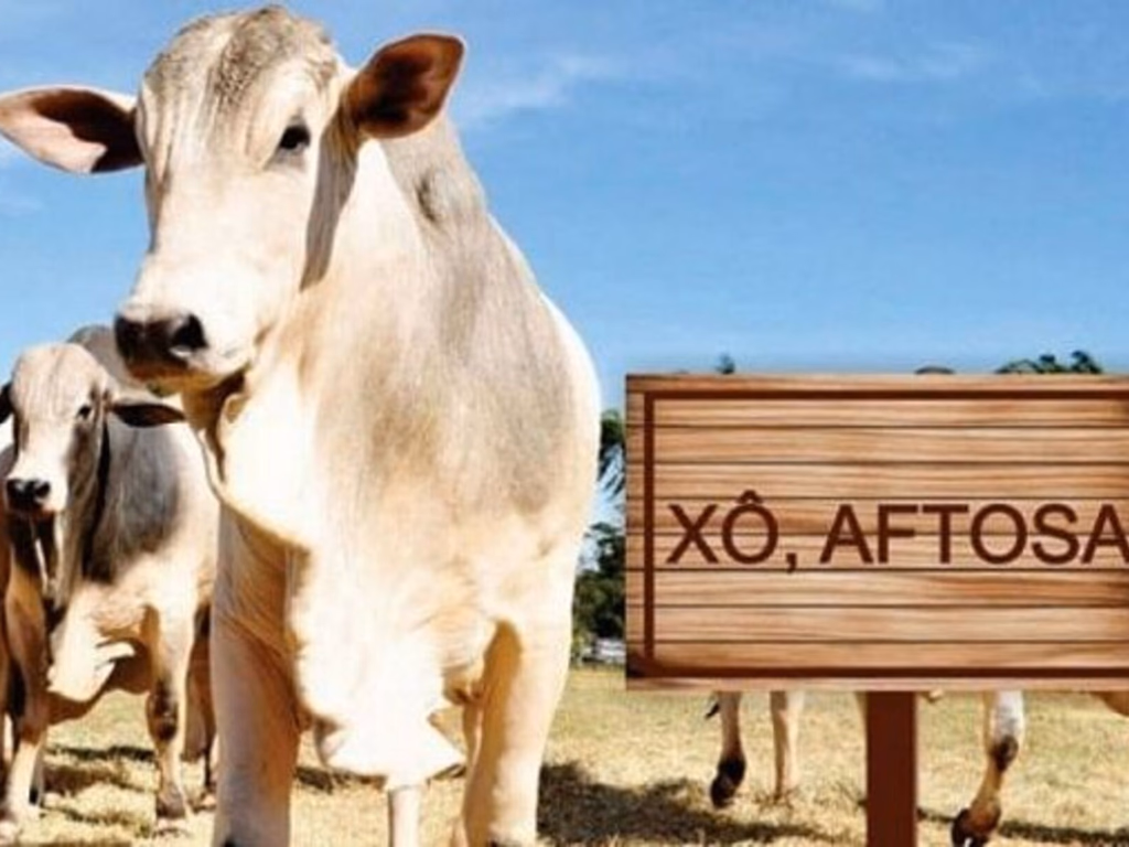 Brasil recebe certificado de livre de aftosa com vacinação