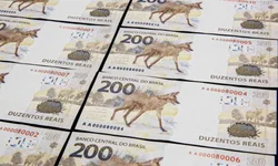 Oitava etapa da Epicovid-19 acontece neste final de semana