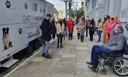 Semas prepara novo mutirão de castrações