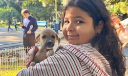 Lafron e Laminf facilitam o diagnóstico de infecções na Fronteira Oeste