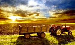 Aprovada essencialidade de atividade física durante a pandemia