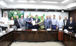 Arrozeiros pedem prorrogação de crédito presumido de ICMS