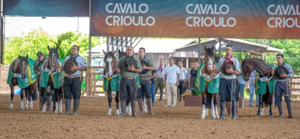 Criadores têm até dia 23 para se inscrever na Expo FICCC 2026