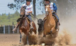No aperto, Brasil vence Suíça e antecipa classificação para as oitavas de final
