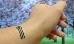 Pesquisa sobre coronavírus no RS entra na sétima etapa de testes