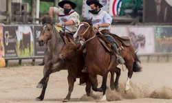 Alguns lançamentos da Netflix em outubro de 2020