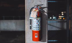 Réu foragido pode participar de audiência por videoconferência