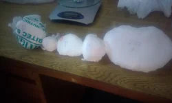 DPCA prende padrasto suspeito de estupro