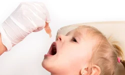 Igreja do Carmo realiza benção aos animais