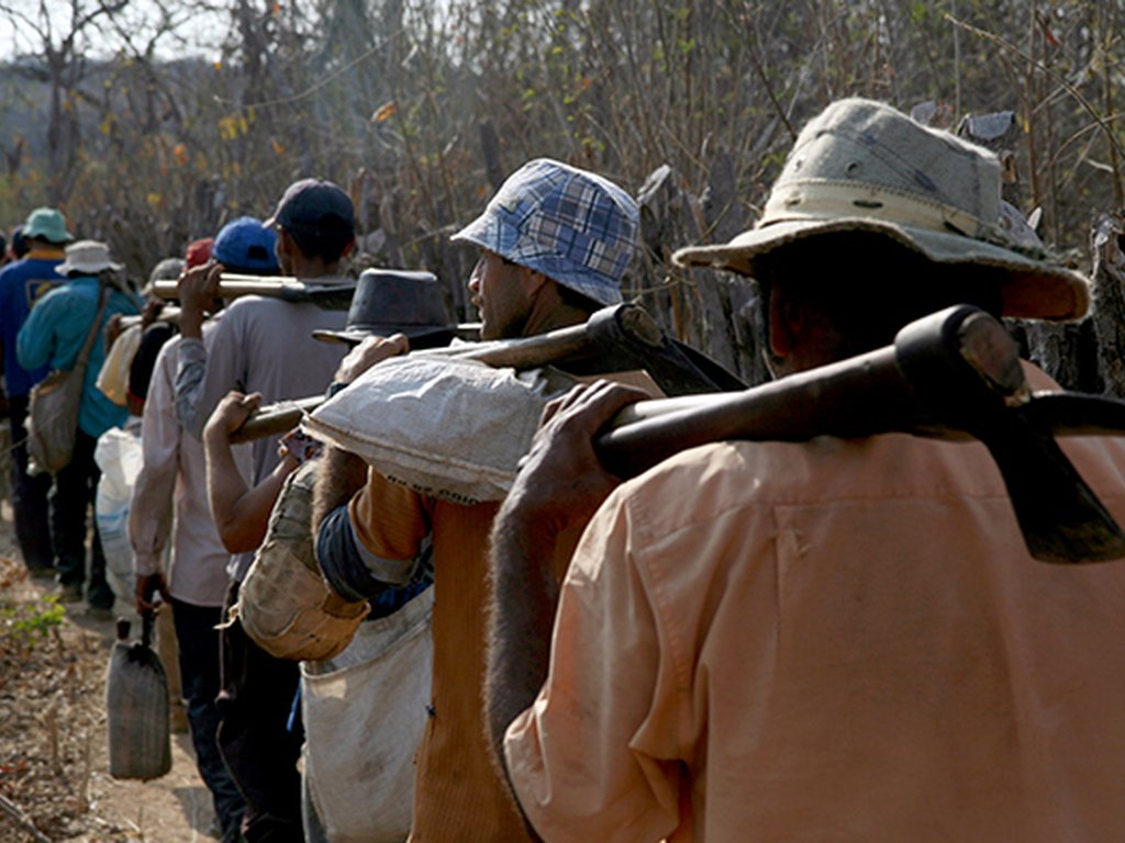 Denúncias de trabalho escravo batem recorde