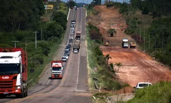 Uruguaiana pode ter mês de combate aos maus tratos contra animais
