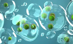 Um real investido em saneamento resulta R$29 em benefícios sociais