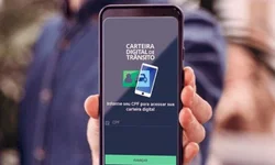 Universitários gaúchos conquistam 1º lugar em campeonato nacional