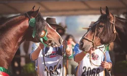 Primeiro jogo com torcida no RS acontecerá neste domingo