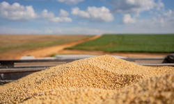 Brasil bate recorde histórico de exportação de soja