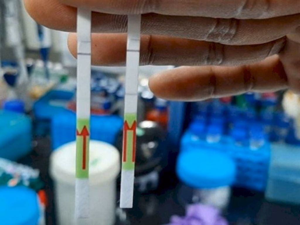 Índia apresenta novo teste de Covid-19, rápido e barato
