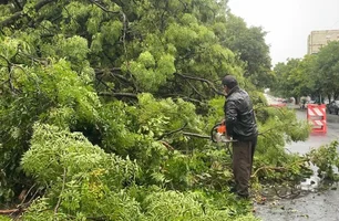 Tempestade atinge Uruguaiana com ventos fortes e ruas alagadas