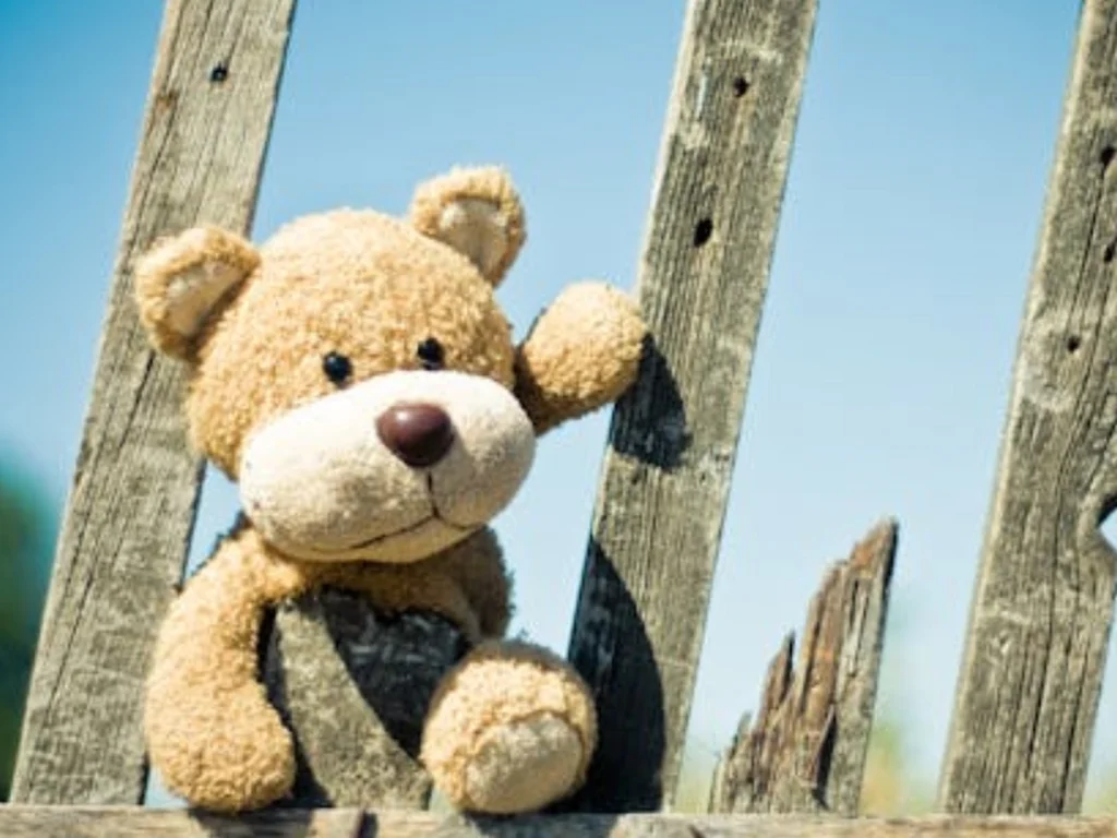 Condenado por estupro é preso pela Polícia Federal