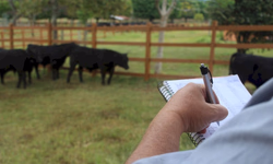 Inicia fase de adaptação da Prova de Eficiência Alimentar 2022