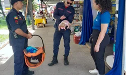 Indicadores da dengue seguem estáveis em dezembro