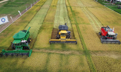 Emitida primeira certificação do programa Campos do Sul