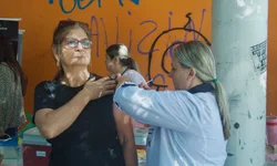 Uruguaiana terá nova feira de adoção de cães