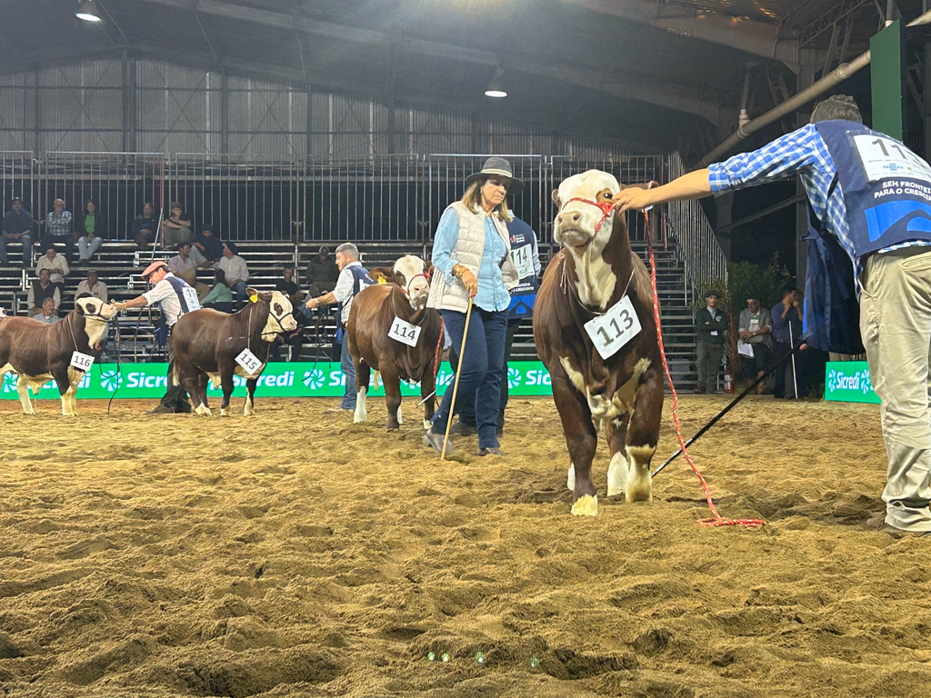 Brasil reafirma protagonismo global no 9º Congresso Mundial Braford