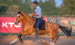 Furiosa: Uma Saga Mad Max ganha data de estreia nas plataformas digitais