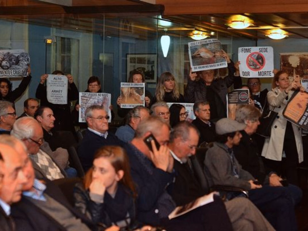 O lucro e a proteção animal em debate
