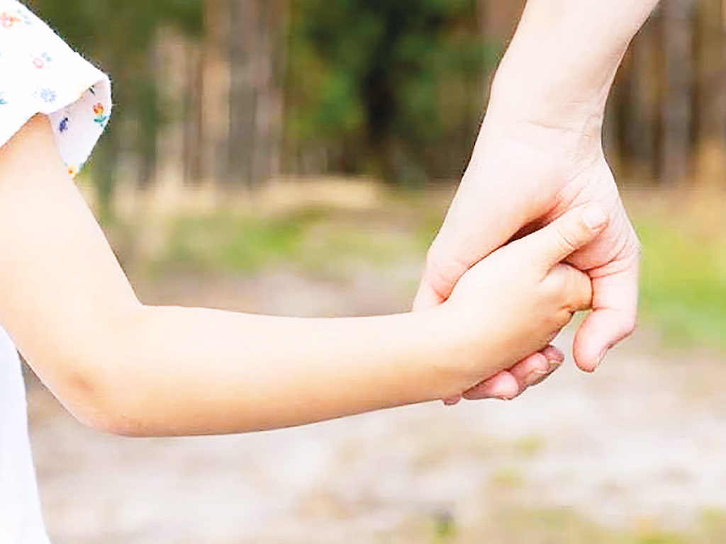 Vereadores analisam contratação de profissionais para a Sedes