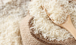 Painel projeta futuro do agronegócio brasileiro no pós-pandemia