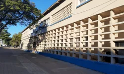 Calor pode favorecer a entrada de gafanhotos no RS