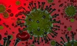 Uruguaiana ultrapassa 28 mil casos confirmados