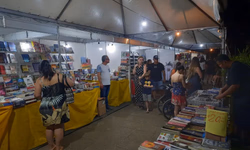 Câmara Temática de Cultura debate impactos das enchentes no setor