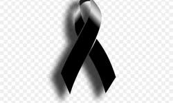 iPhone é encontrado após seis dias submerso a 15 metros e funciona