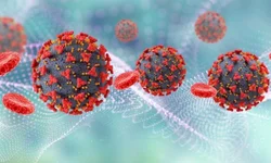 Cientistas testam vacinas contra a gripe aviária