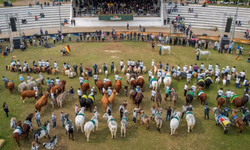 Mais quadras esportivas estão sendo revitalizadas