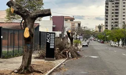 Legislativo leva sessão plenária à Praça Farroupilha