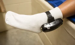 Draco apreende mais de 60 quilos de maconha