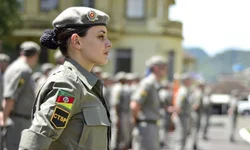 Aprovado projeto que proíbe armas de fogo a agressor de mulher