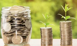 Nova Lei do Agro traz mecanismos importantes para o produtor rural