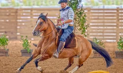 Itália sedia “Freio de Ouro” da Europa nesta semana