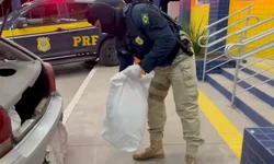 Aplicativo alerta a população para golpes