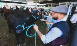 Itália sedia “Freio de Ouro” da Europa nesta semana