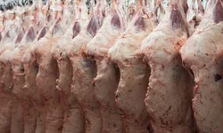 Associação lança prêmio para destaque no Programa Carne Angus