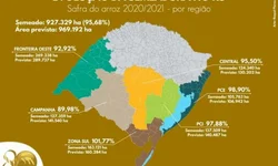 Arrozeiros colhem mais de 12 mil hectares na primeira semana