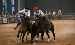 Disputa acirrada dá título à égua mais jovem da pista Argentina