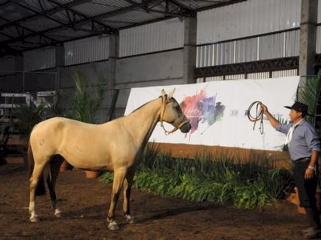 II Santa Causa garante recursos para unidades pediátricas do HSCU