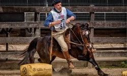 Diretoria gremista concede coletiva após ajuizar reclamação na Conmebol